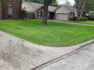 Lawn Care service in Brazoria, 77422