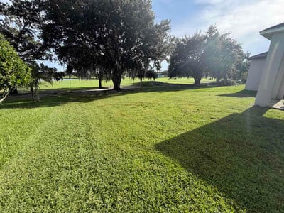 Lawn Care service in Maitland, 32751