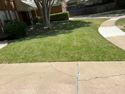 Lawn Care service in Arlington, 76010