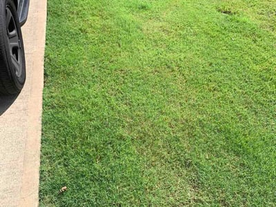 Lawn Care service in Carrollton, 30117