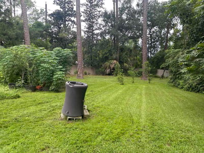 Lawn Care service in Willimantic, 06226