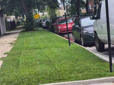 Lawn Care service in Elmhurst, 60126