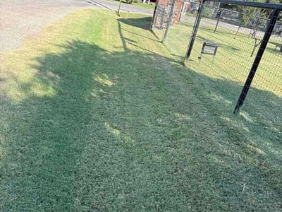 Lawn Care service in Granbury, 76048