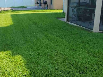 Lawn Care service in Davenport, 33837