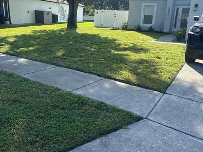 Lawn Care service in Lady Lake, 32159