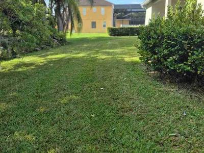 Lawn Care service in Hunters Creek, 32837