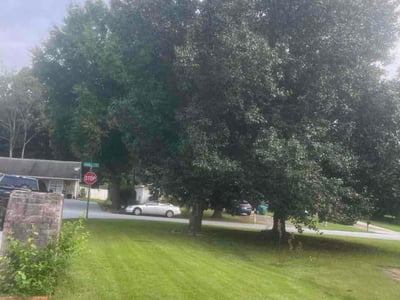 Lawn Care service in Norcross, 30071