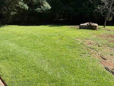 Lawn Care service in Bremen, 30110