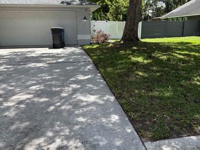 Lawn Care service in Dunedin, 34698