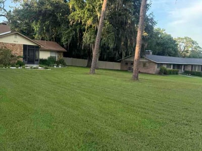 Lawn Care service in Zephyrhills, 33542