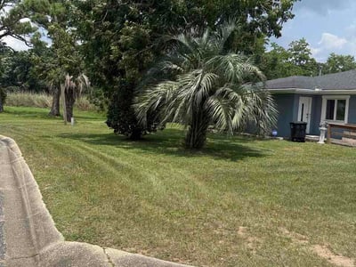 Lawn Care service in Pensacola, 32501