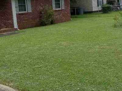 Lawn Care service in Pensacola, 32501