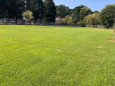 Lawn Care service in Winder, 30680