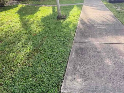Lawn Care service in Miami Gardens, 33056