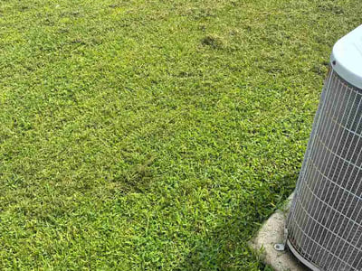 Lawn Care service in Riviera Beach, 33404