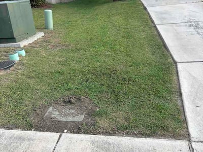 Lawn Care service in Lytle, 78052