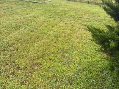 Lawn Care service in Jacksonville Beach, 32250