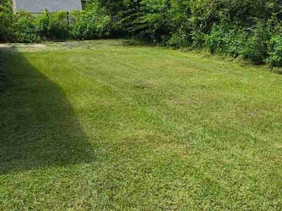 Lawn Care service in Fleming Island, 32003