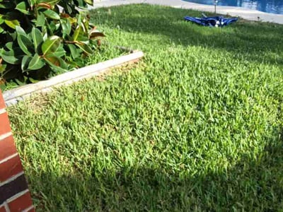 Lawn Care service in McAllen, 78504
