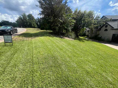 Lawn Care service in McAllen, 78504