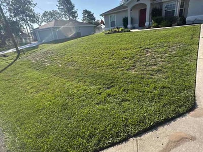 Lawn Care service in Davie, 33328