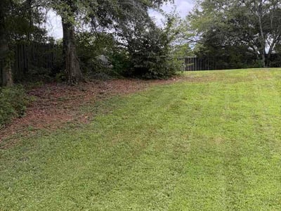 Lawn Care service in Fayetteville, 30214