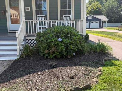 Lawn Care service in Glastonbury, 06033