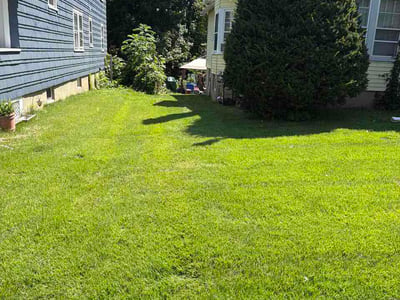 Lawn Care service in Avon, 06001