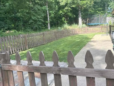 Lawn Care service in West Haven, 06516