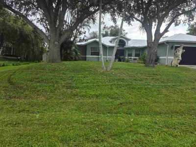 Lawn Care service in Port St Lucie, 34952