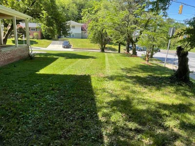 Lawn Care service in Silver Spring, 20910