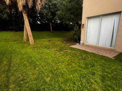 Lawn Care service in Palm City, 34990