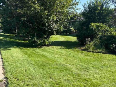 Lawn Care service in Enfield, 06082