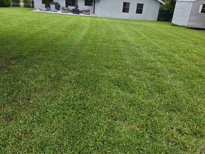 Lawn Care service in Boca Raton, 33431