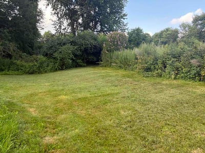 Lawn Care service in Deep River, 06417