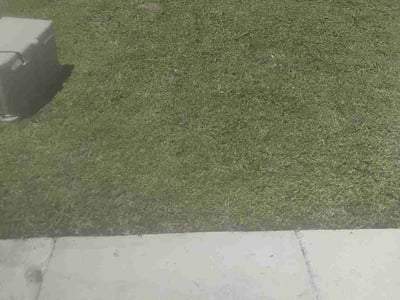 Lawn Care service in Plantation, 33317
