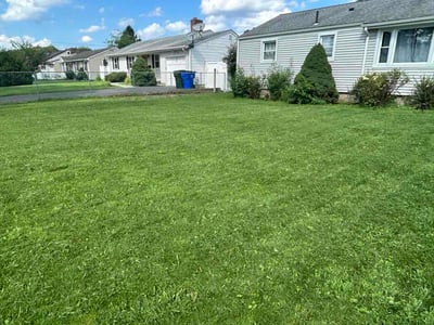 Lawn Care service in Wethersfield, 06109