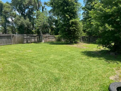 Lawn Care service in New Caney, 77357