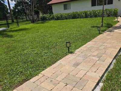Lawn Care service in Plantation, 33317