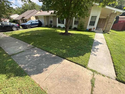 Lawn Care service in Greenbelt, 20770