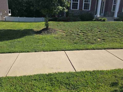 Lawn Care service in Greenbelt, 20770