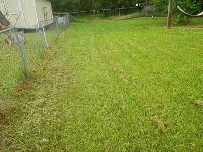 Lawn Care service in Boca Raton, 33431