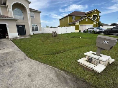 Lawn Care service in Conway, 32812