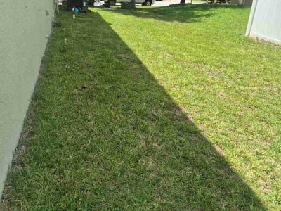 Lawn Care service in Clermont, 34711