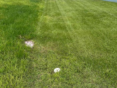 Lawn Care service in Altamonte Springs, 32701