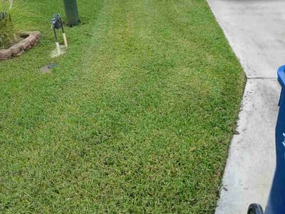 Lawn Care service in Marco Island, 34145