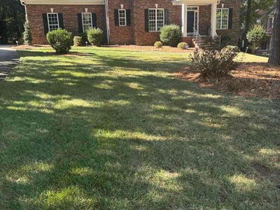 Lawn Care service in Branford, 06405