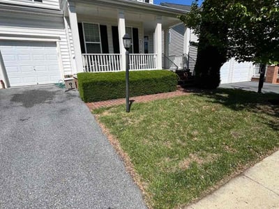 Lawn Care service in Chevy Chase, 20815