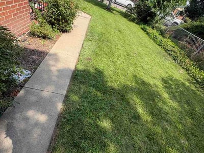 Lawn Care service in Trumbull, 06611