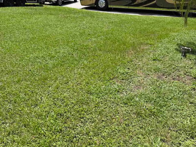 Lawn Care service in Lutz, 33549